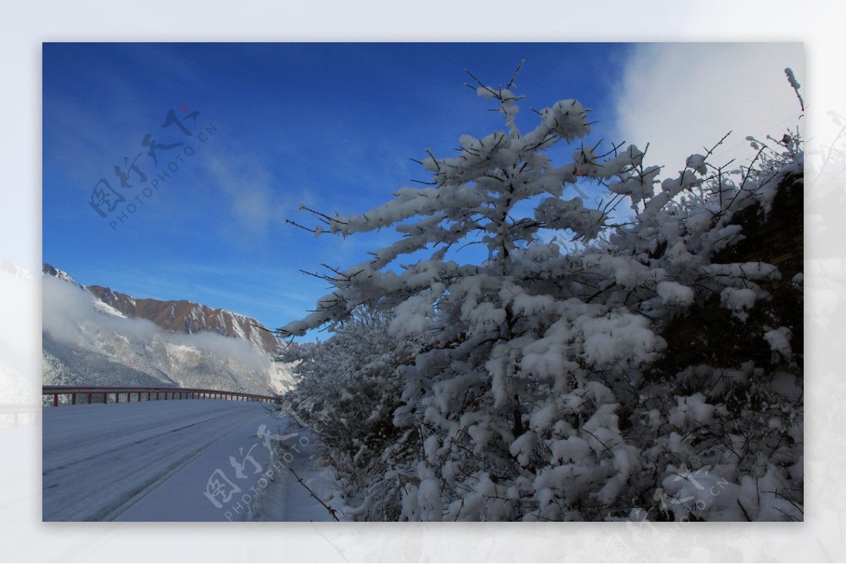 巴朗山雪景图片