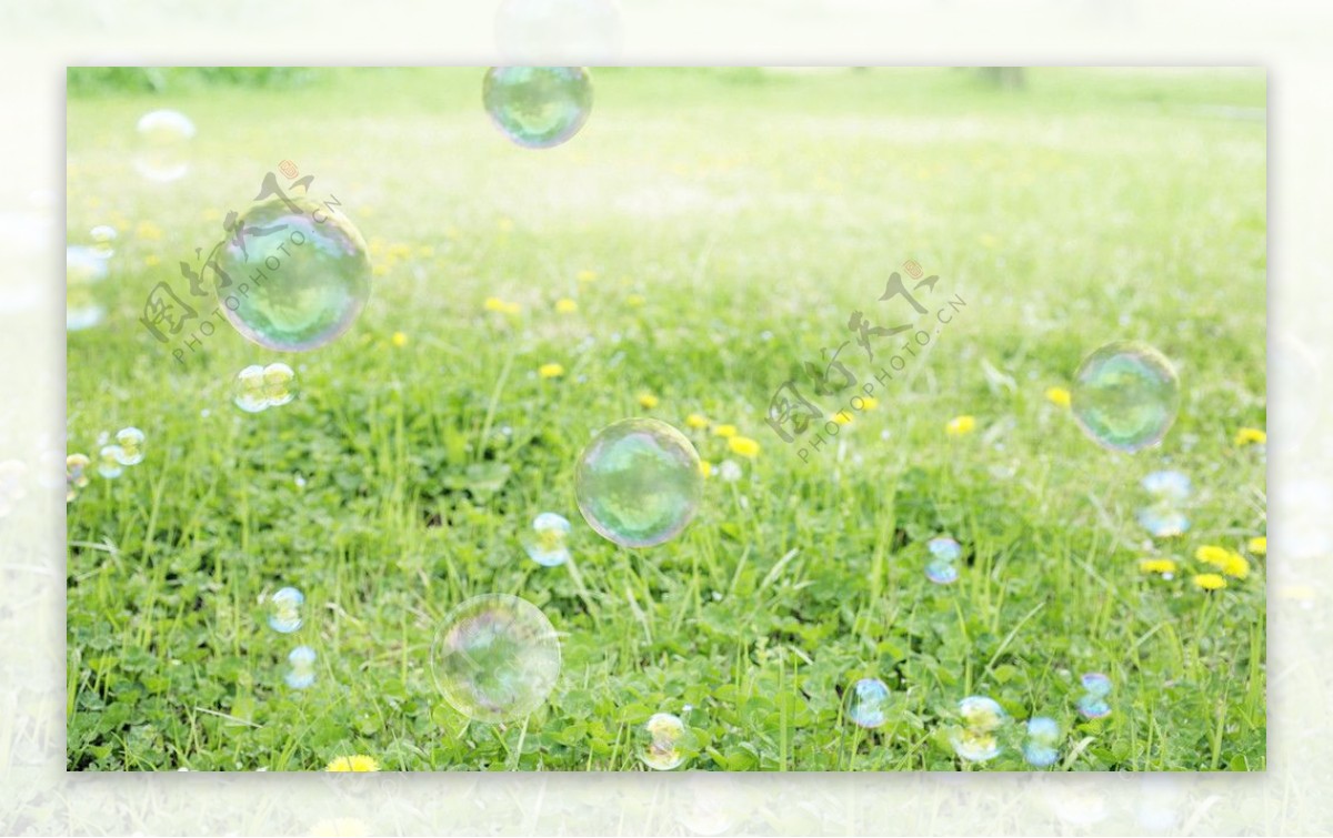 草地泡泡图片