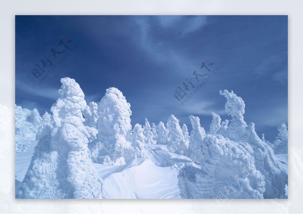 雪挂大雪冰雪覆盖冰雪雕塑图片