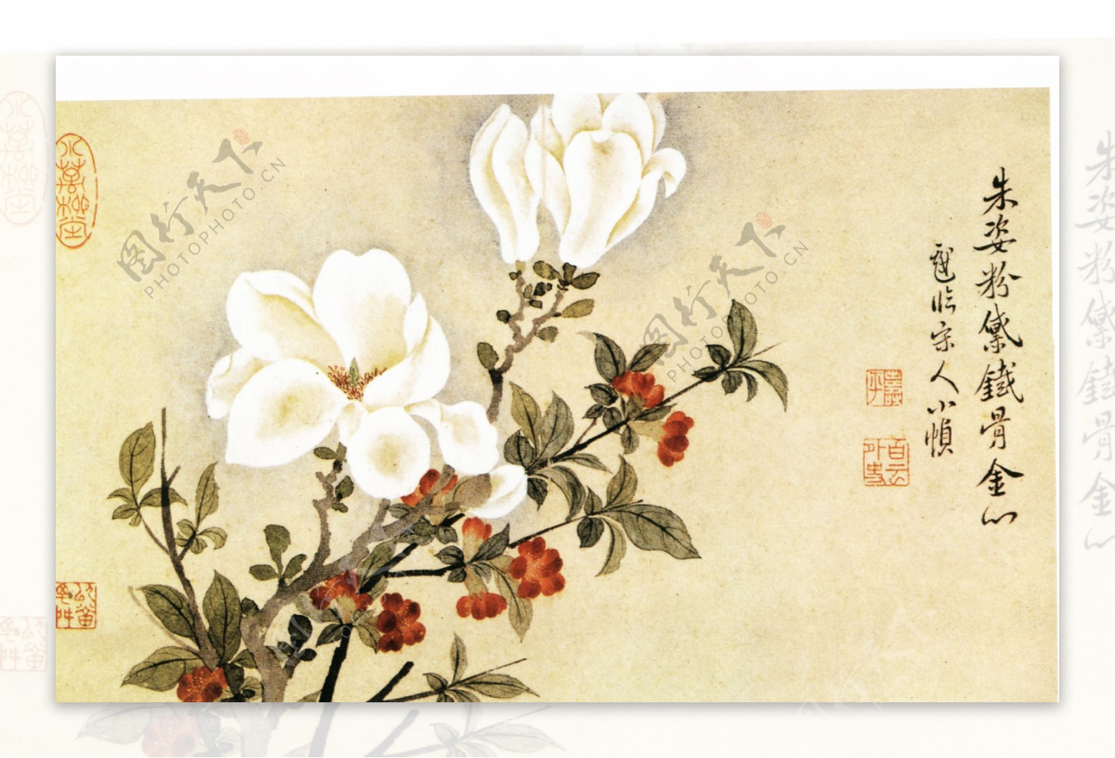 恽寿平花卉图三图片