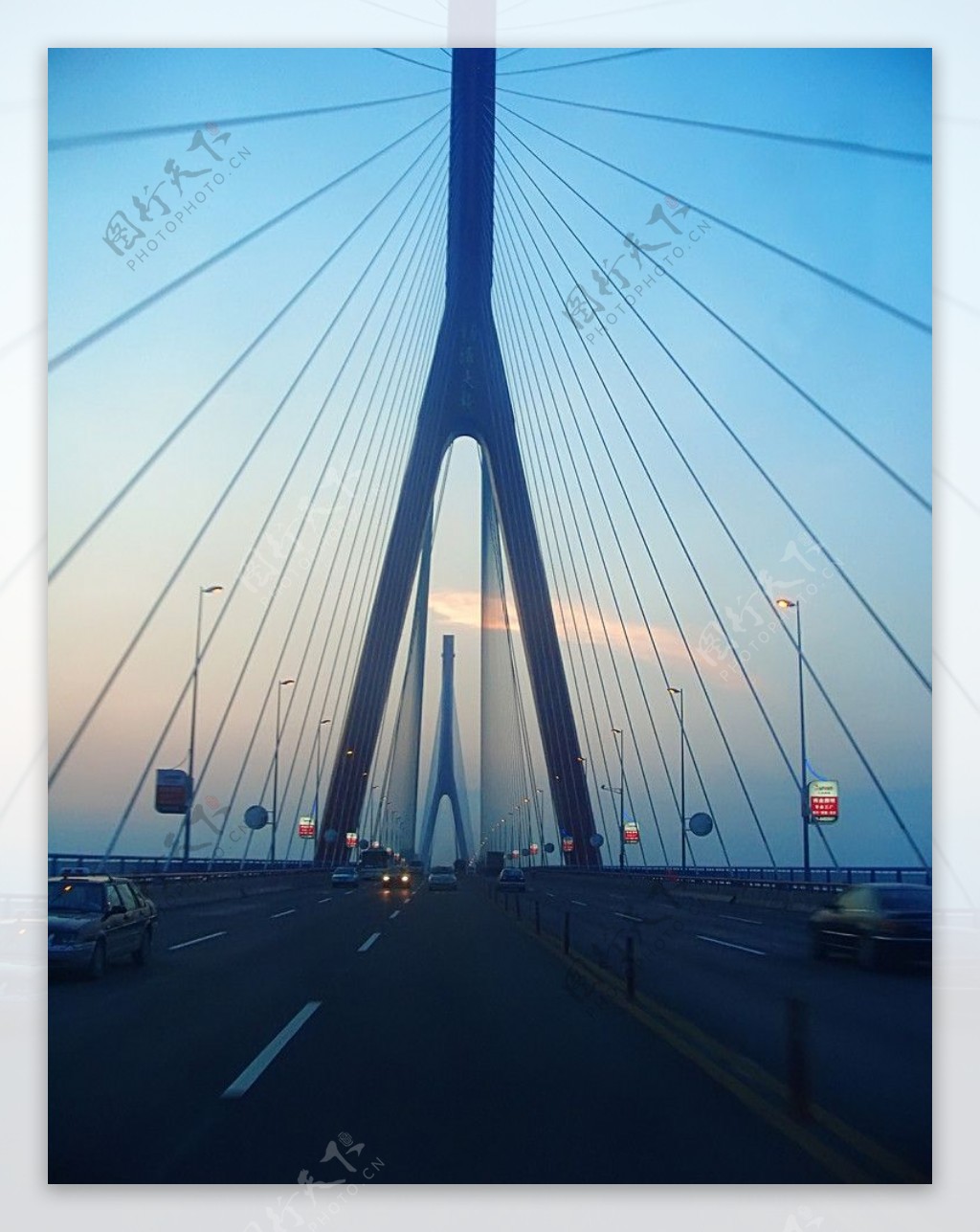 上海杨浦大桥图片