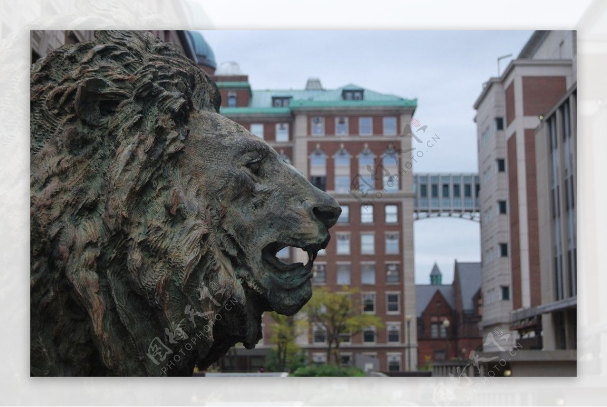 美国哥伦比亚大学狮子雕像图片