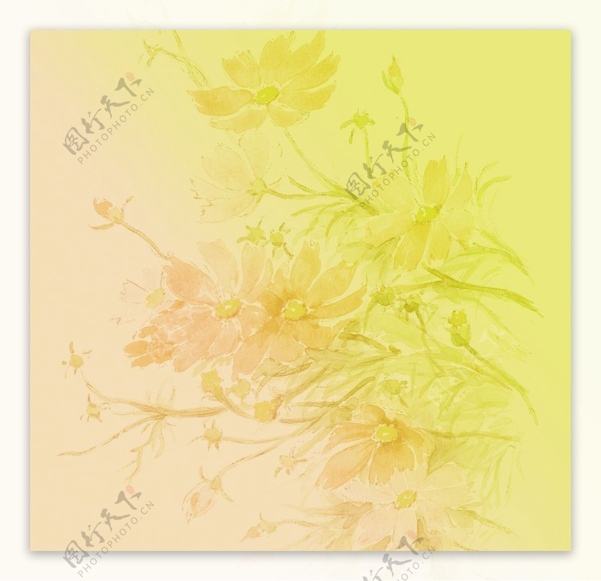 粉黄菊花底纹背景图片
