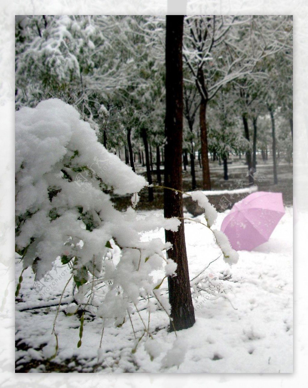 雪景图片