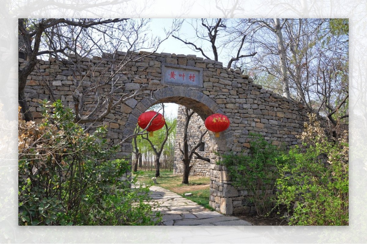 西沽公园景观图片