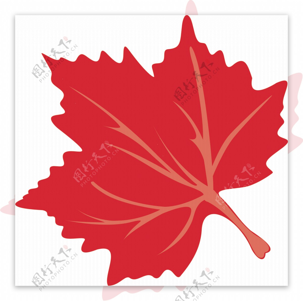 红枫枫叶logo广告设计图片