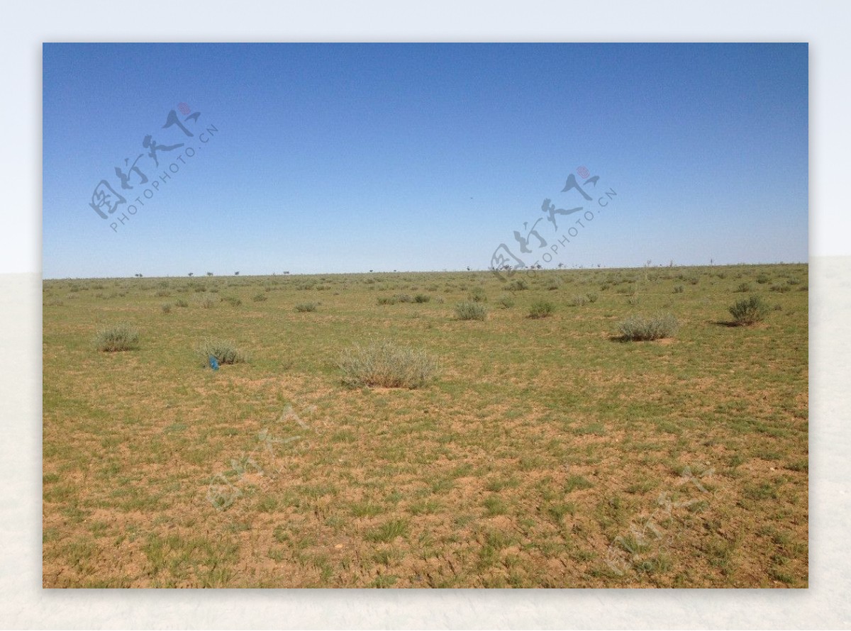 草原沙漠图片