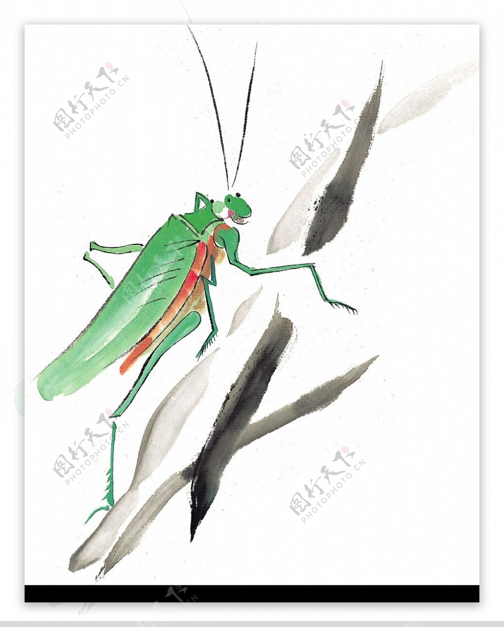 水墨风格的昆虫图片