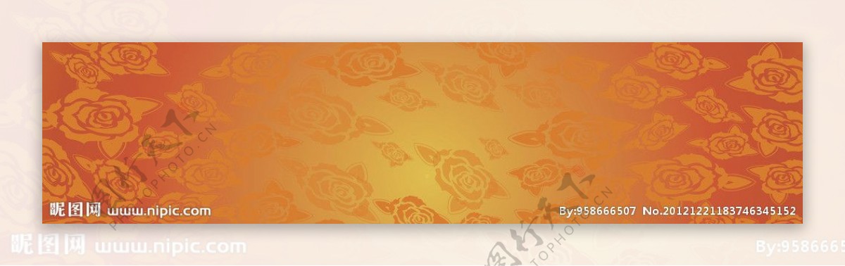 橙色玫瑰花背景图片