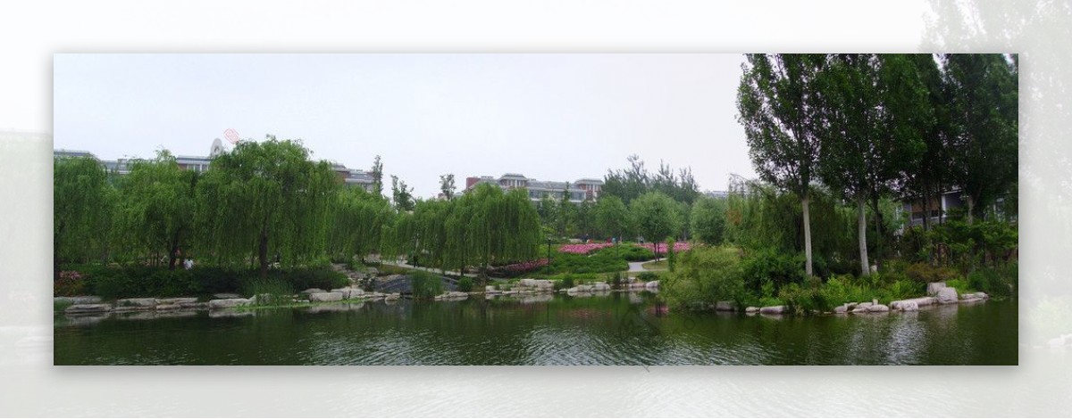 潍坊植物园景观图片