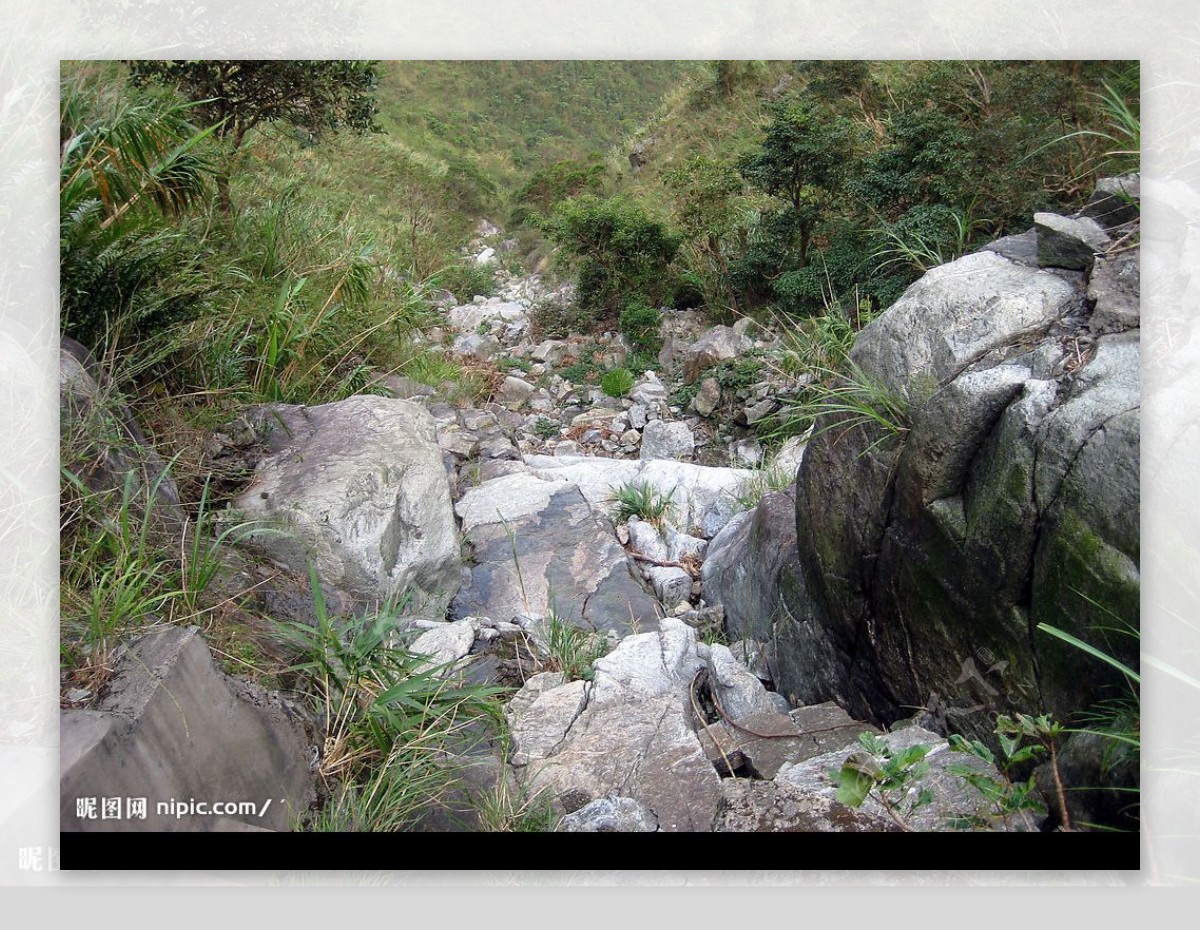 自然风景山石石溪野草绿树图片