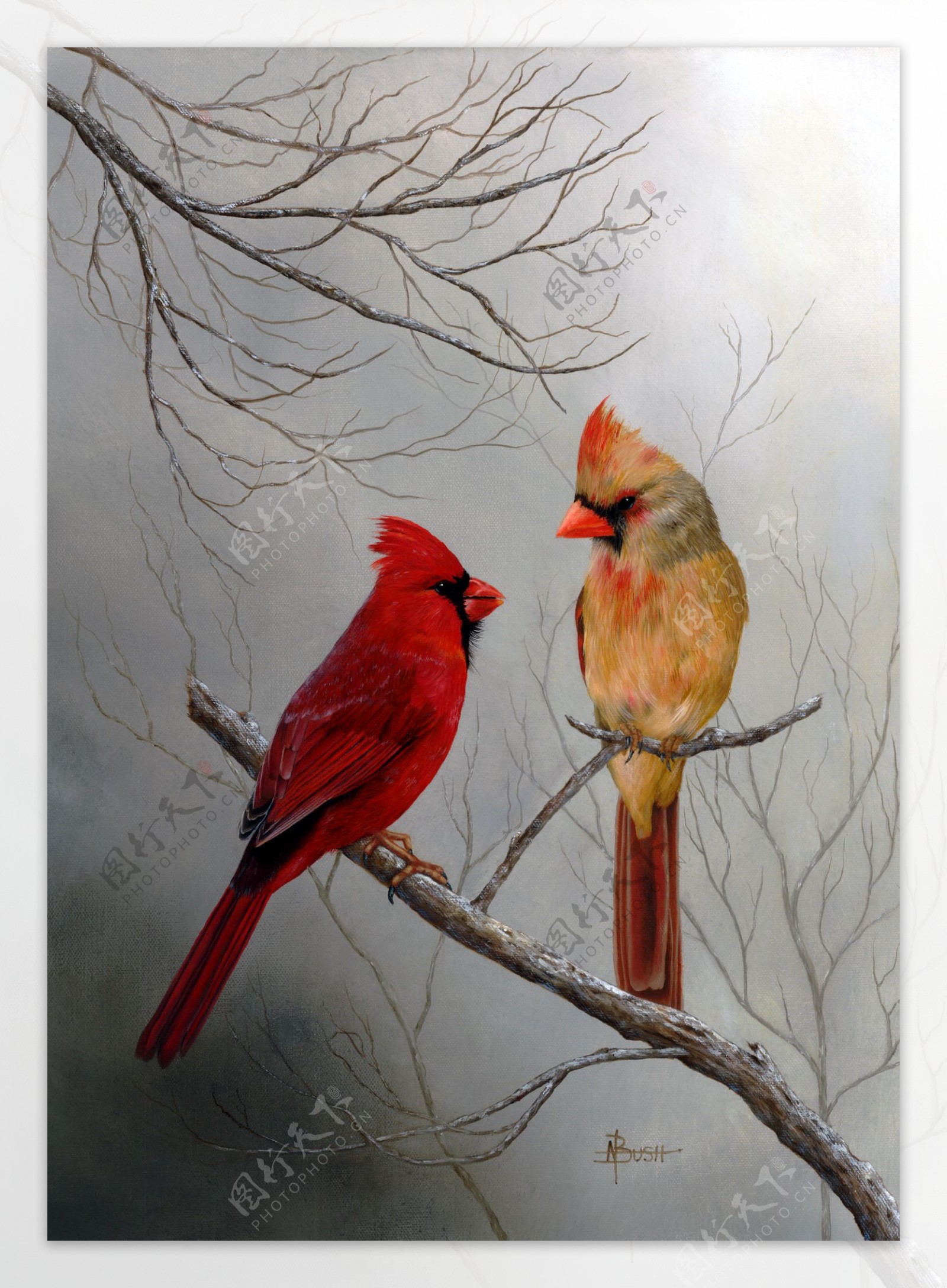 油画两只红嘴鸟图片