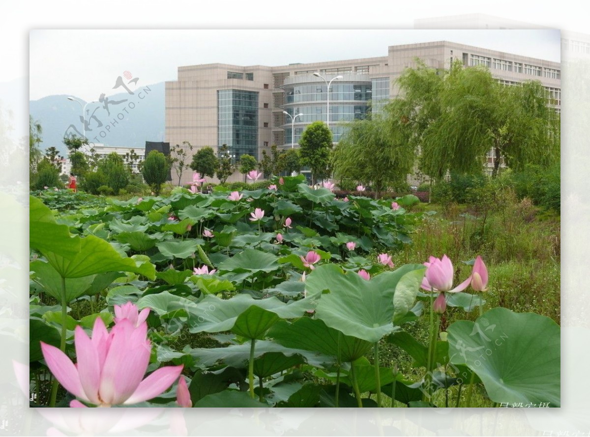 安庆师范学院图片