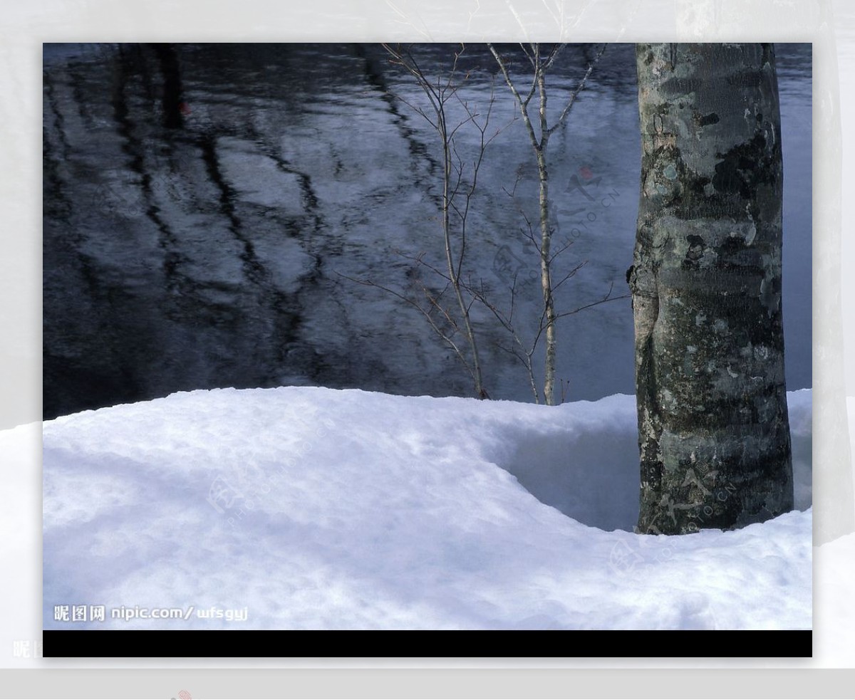 白色冬景树雪堆图片