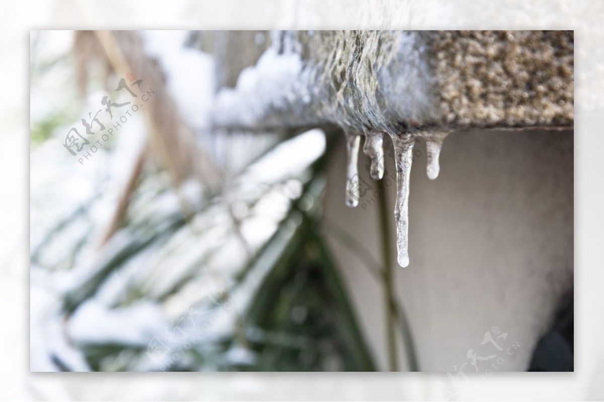 雪景冰柱图片