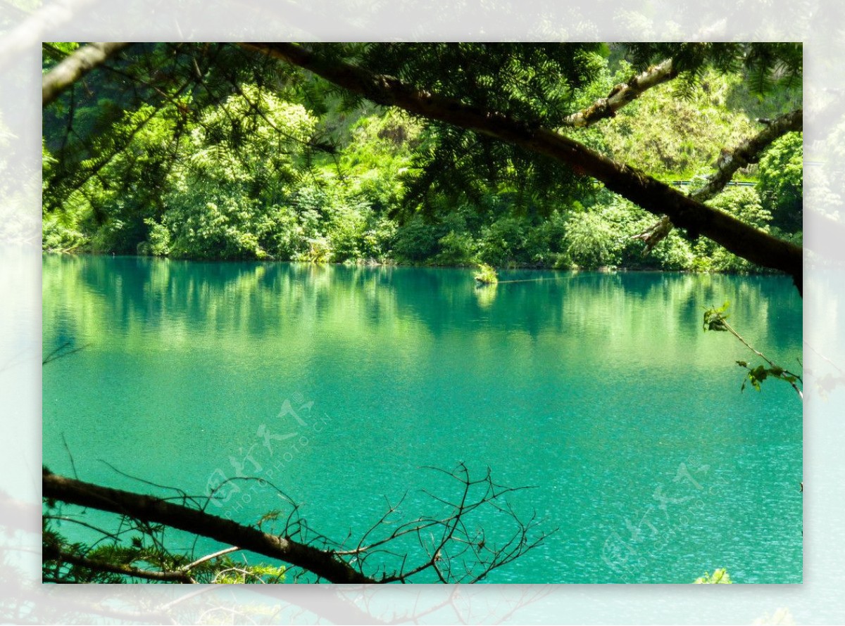 九寨沟碧绿色的水图片