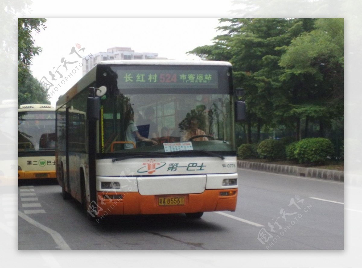 广州第一巴士524图片