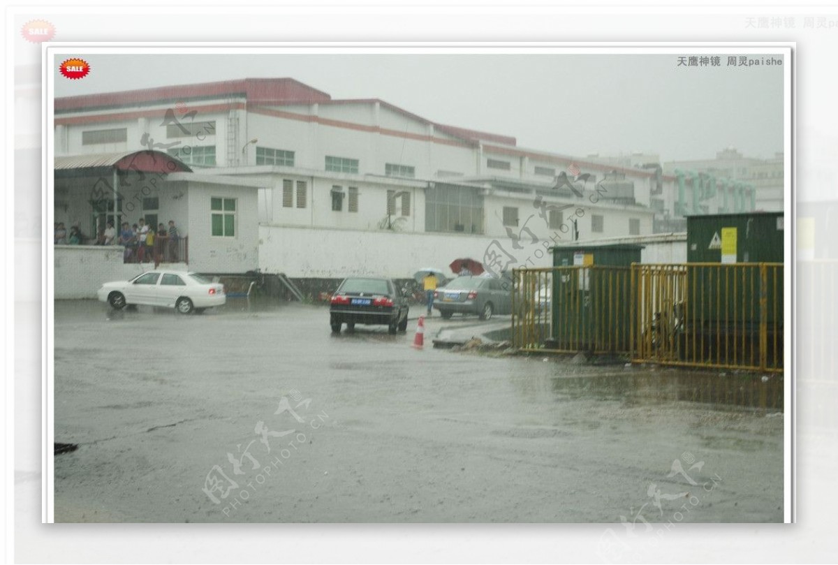 暴雨交加风雨无阻图片