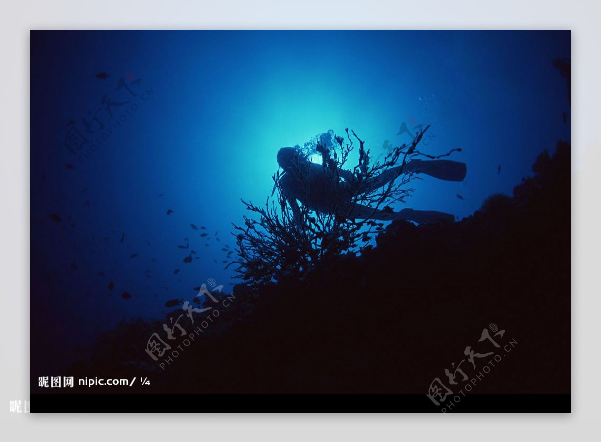 深海探险图片险