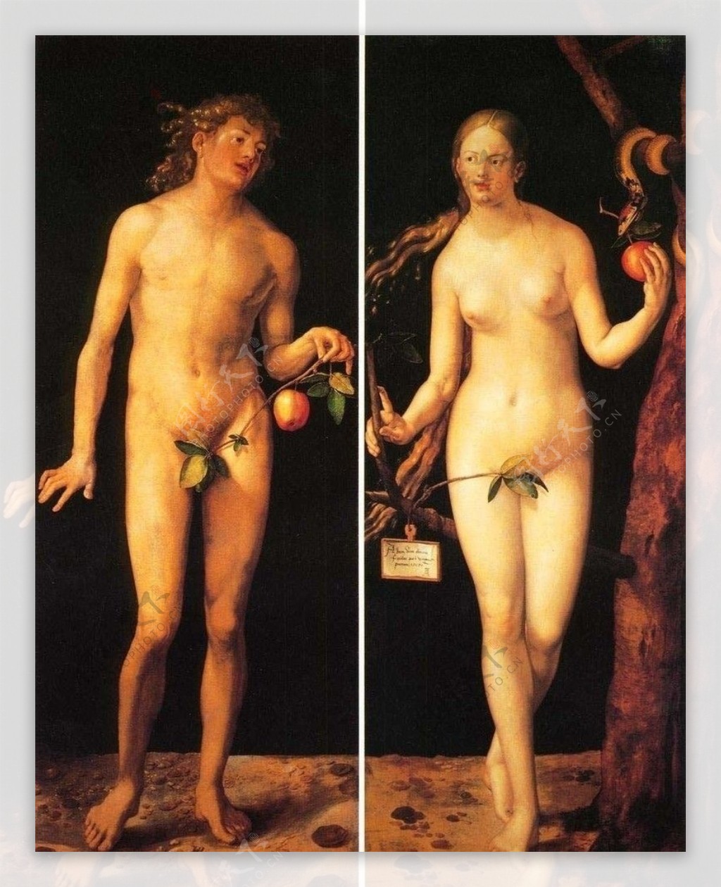 丢勒亚当与夏娃图片