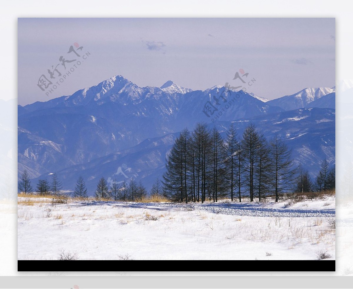 高清雪景图片