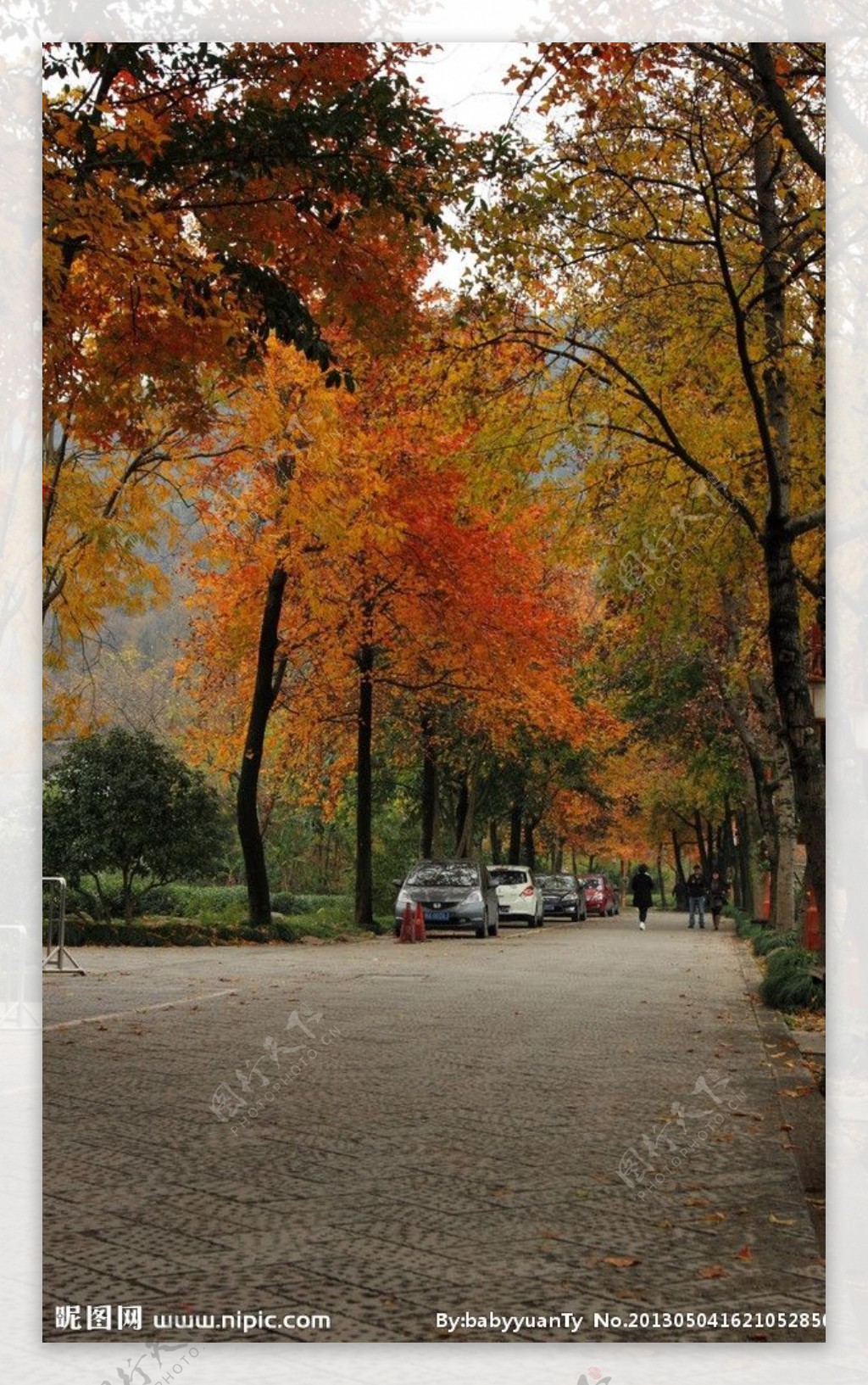 杭州九溪十八涧秋景图片