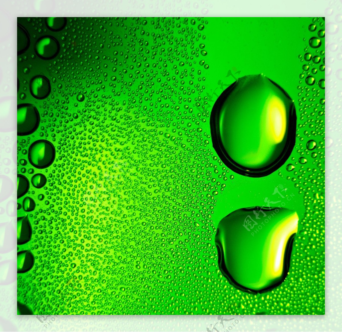 绿色水珠图片