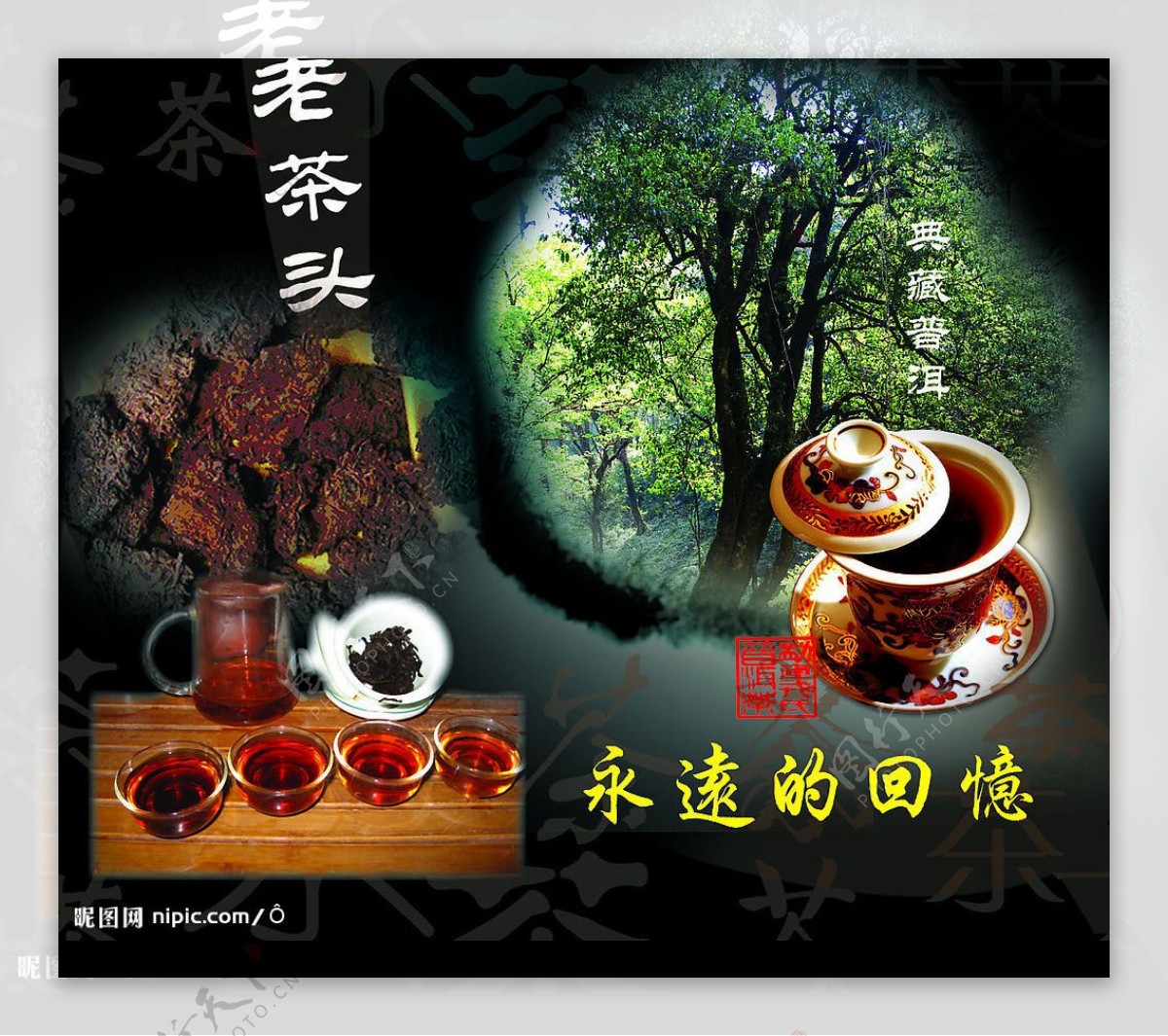 老茶头典藏普洱图片