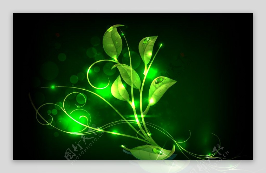绿色动感光线绿叶水珠水滴图片