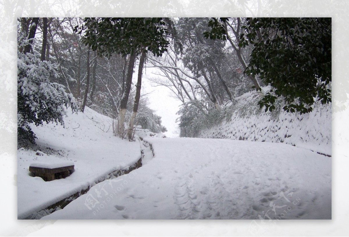 公园雪景图片