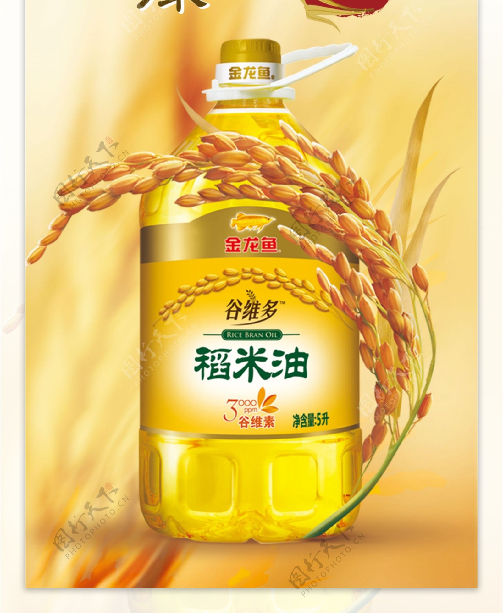 金龙鱼稻米油广告金龙鱼与稻谷合层图片