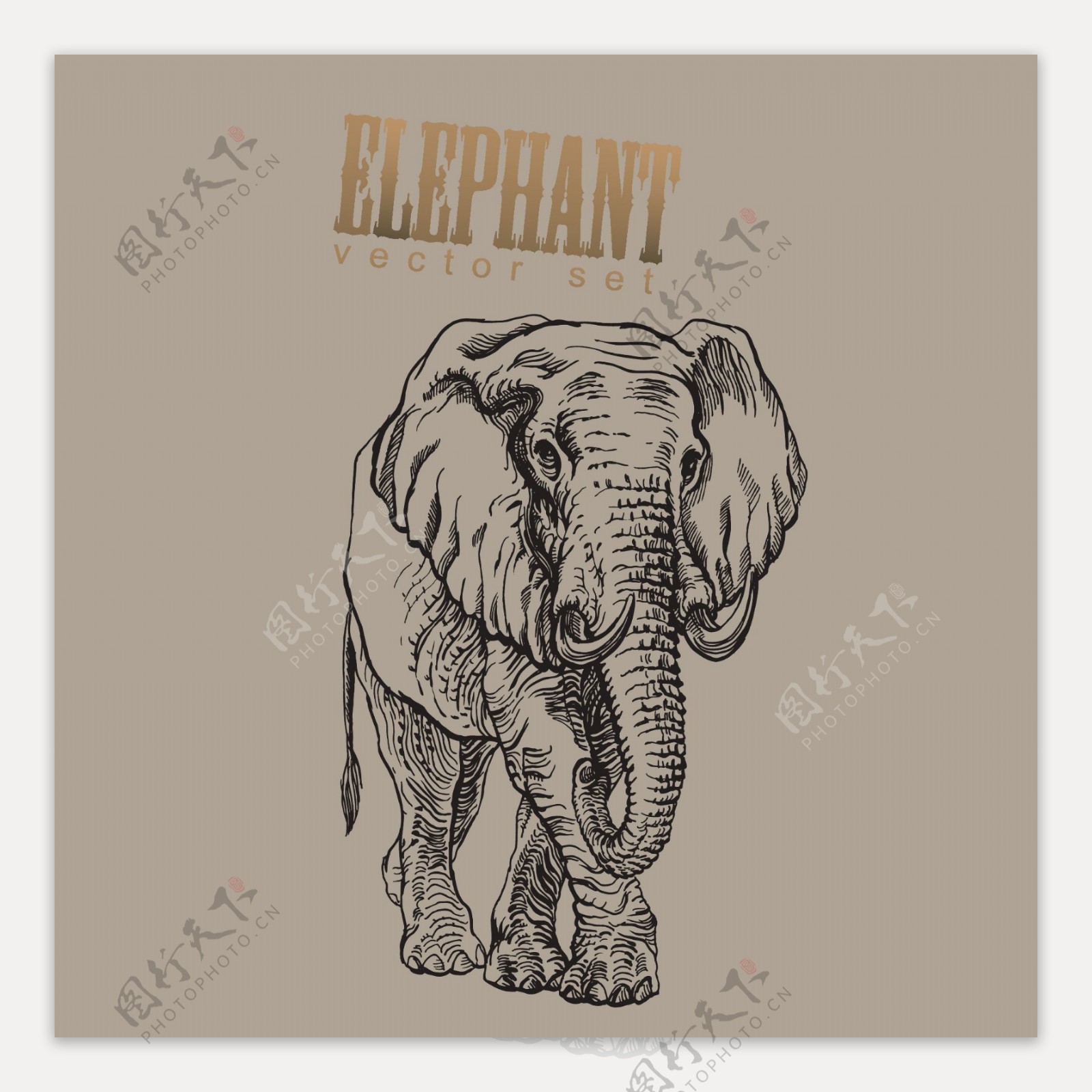 印花矢量图卡通动物大象图片