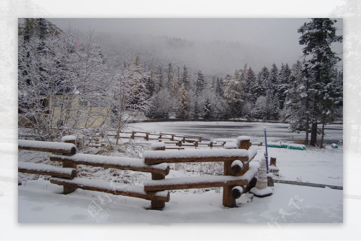 高山飞雪图片