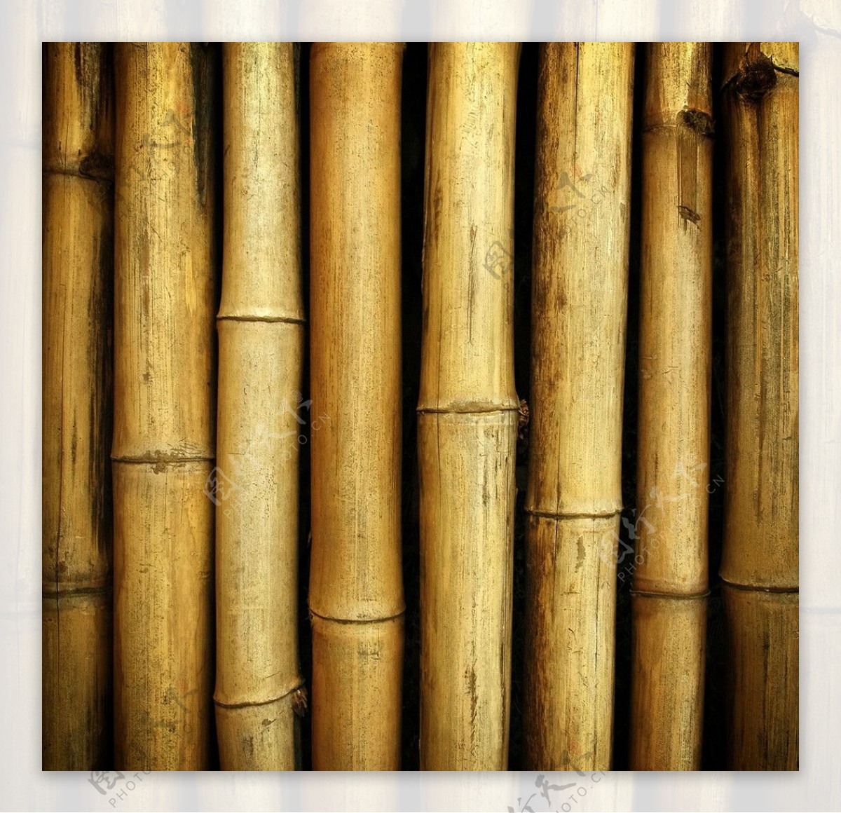 竹子高清背景图片