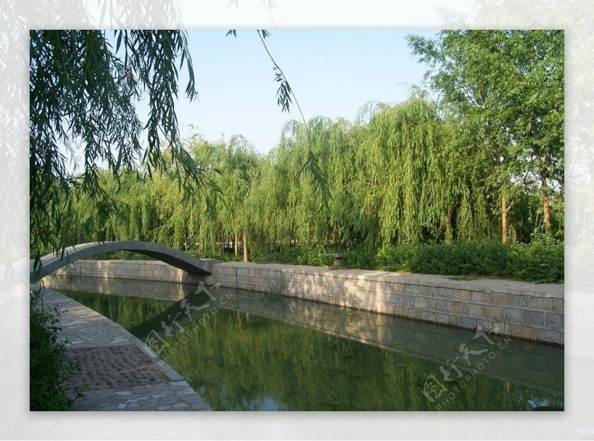 河旁小桥绿树图片