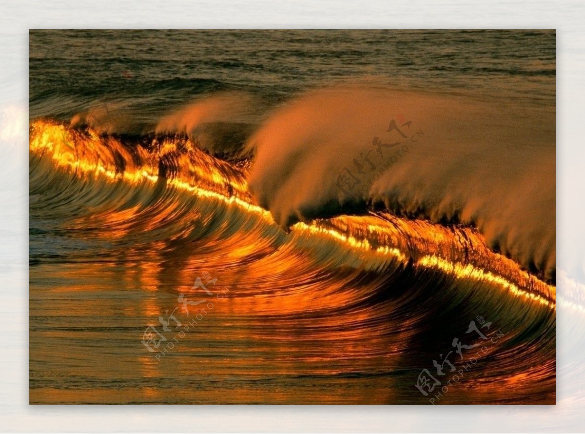 金色海浪图片