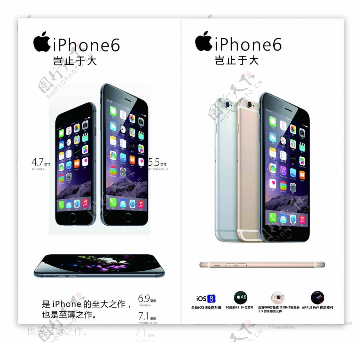iPhone6手机高清图片