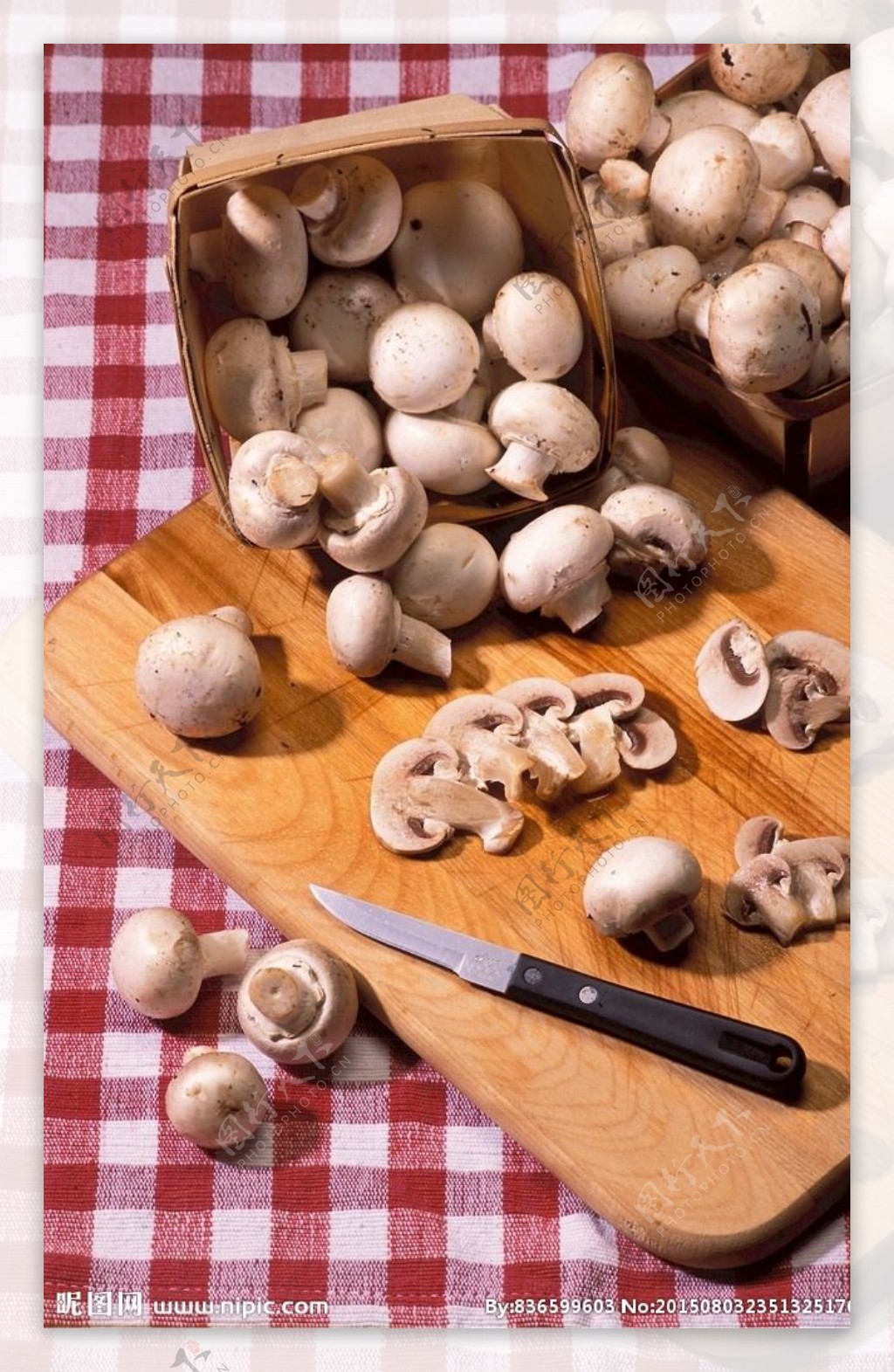 白蘑菇图片