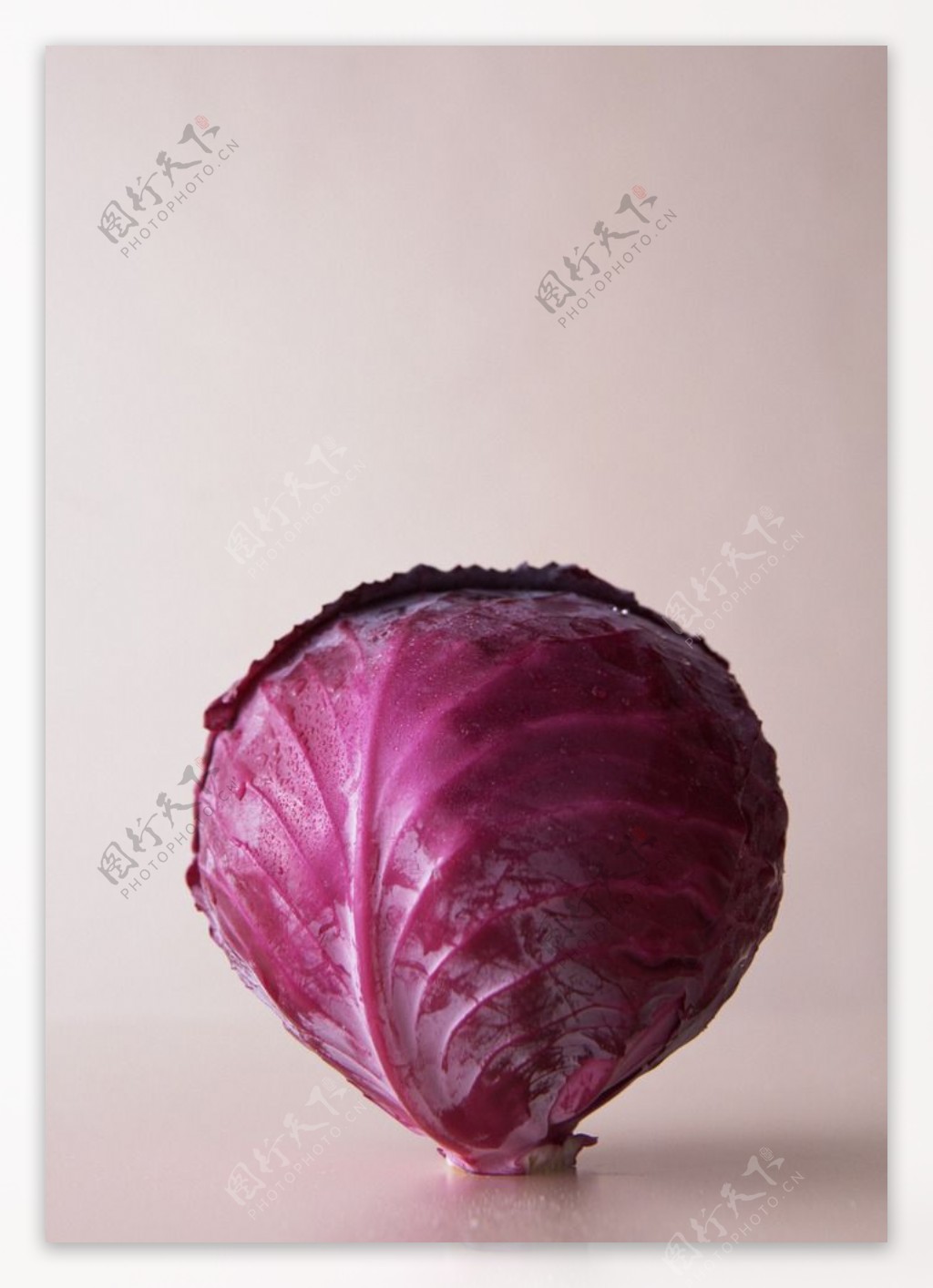 紫色包菜摄影图__蔬菜_生物世界_摄影图库_昵图网nipic.com