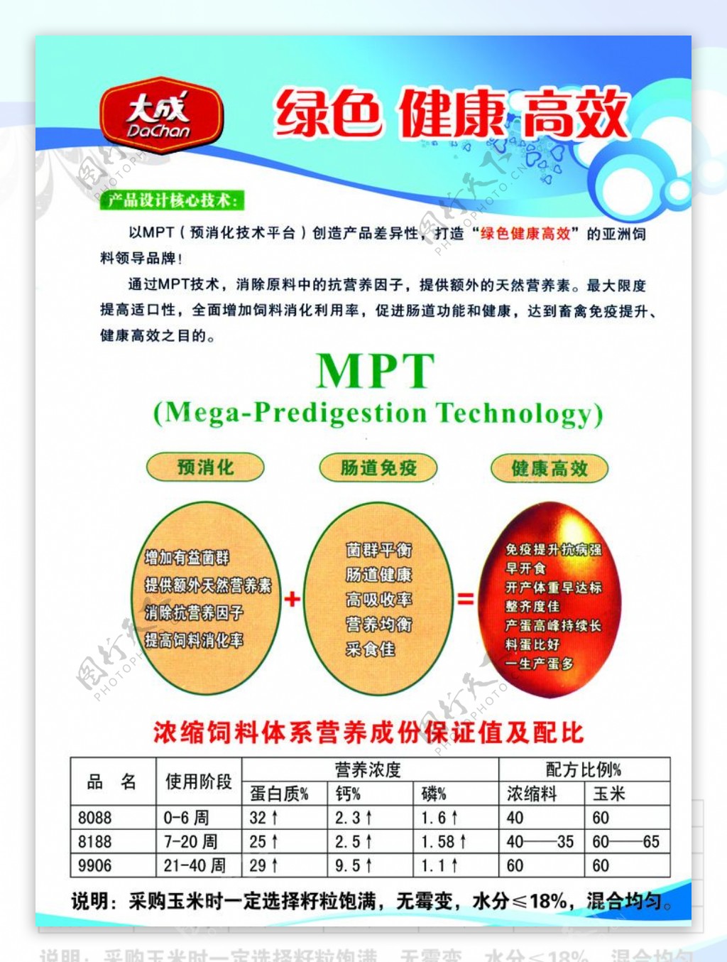 大成宣传单图片