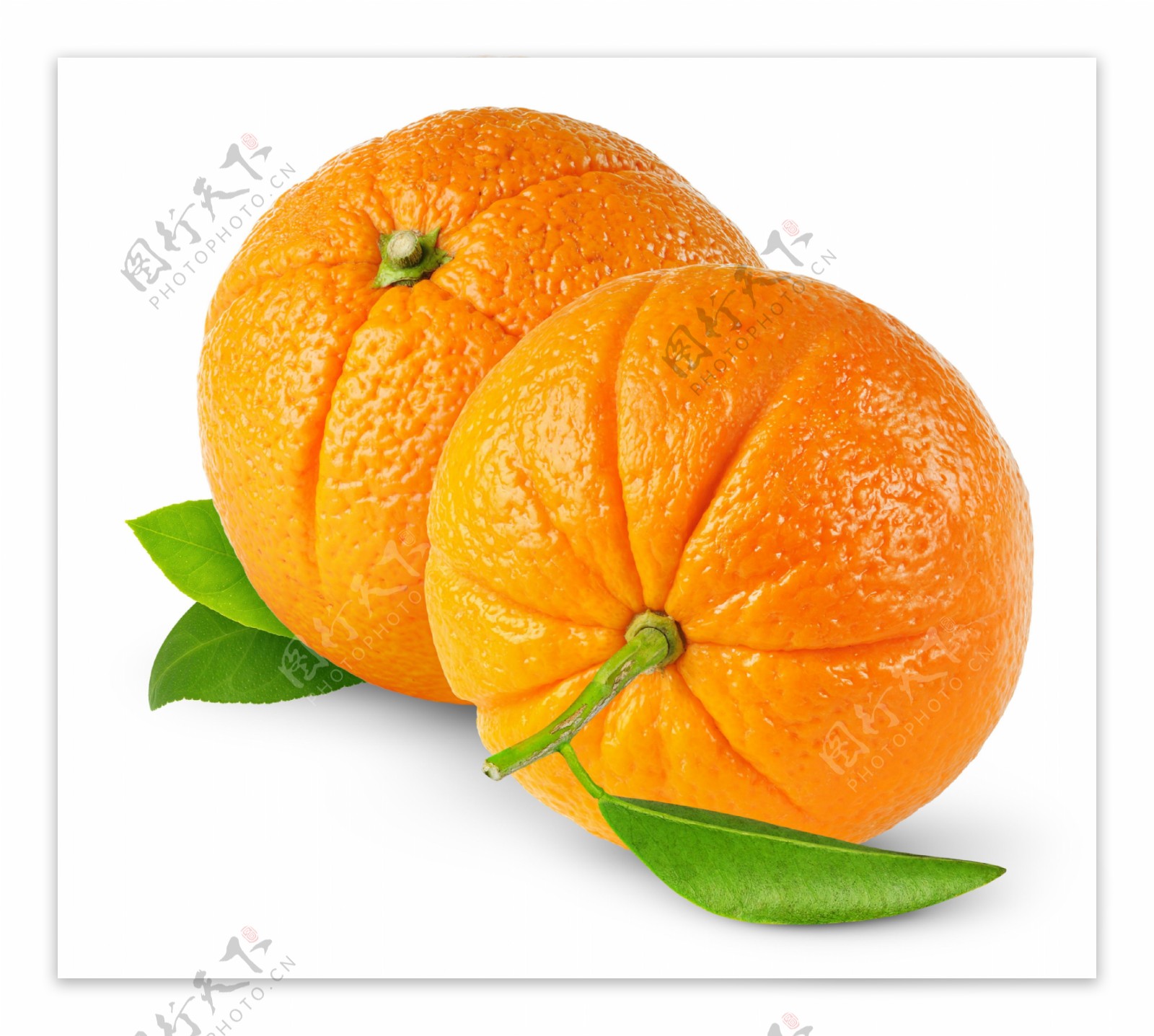 橘树全身宝，不要小瞧它