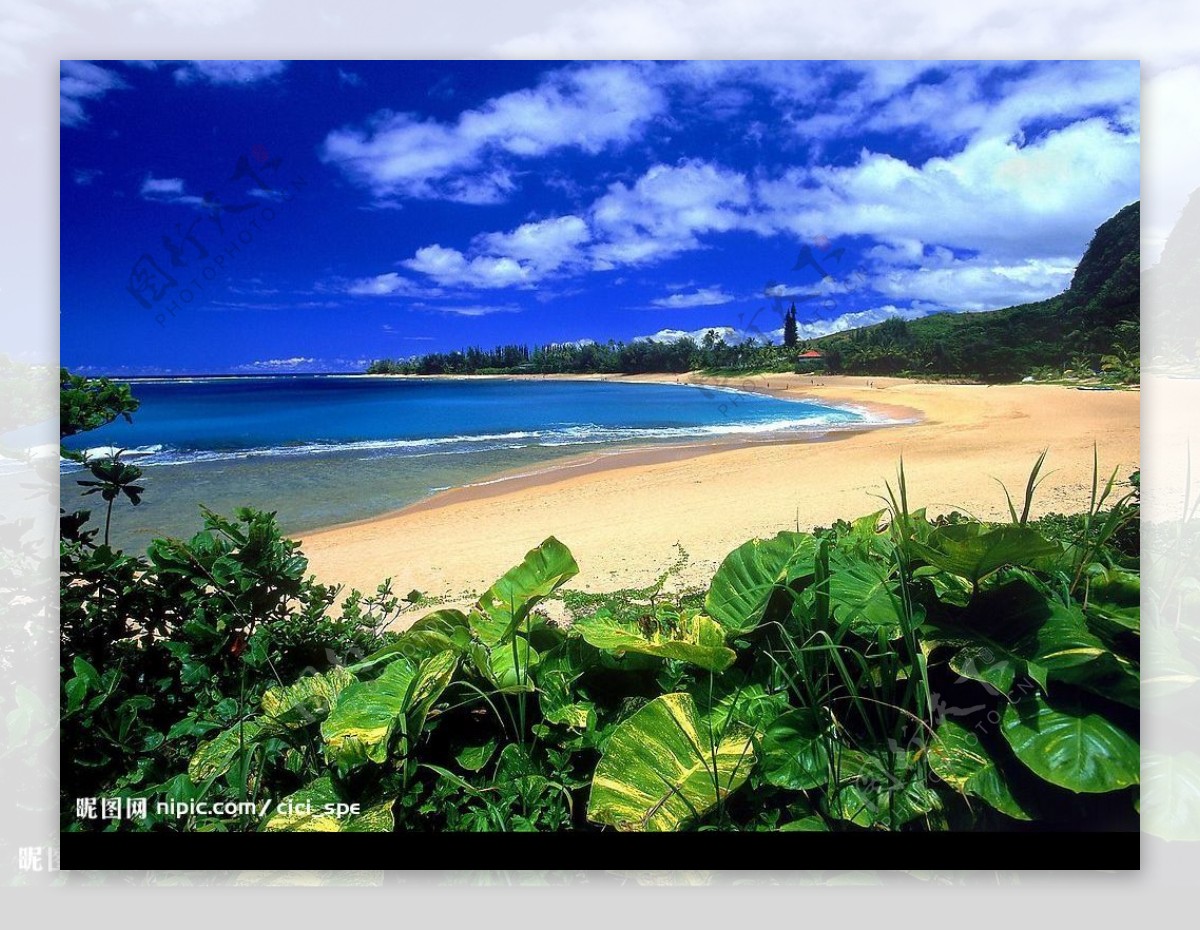 夏威夷海滨图片