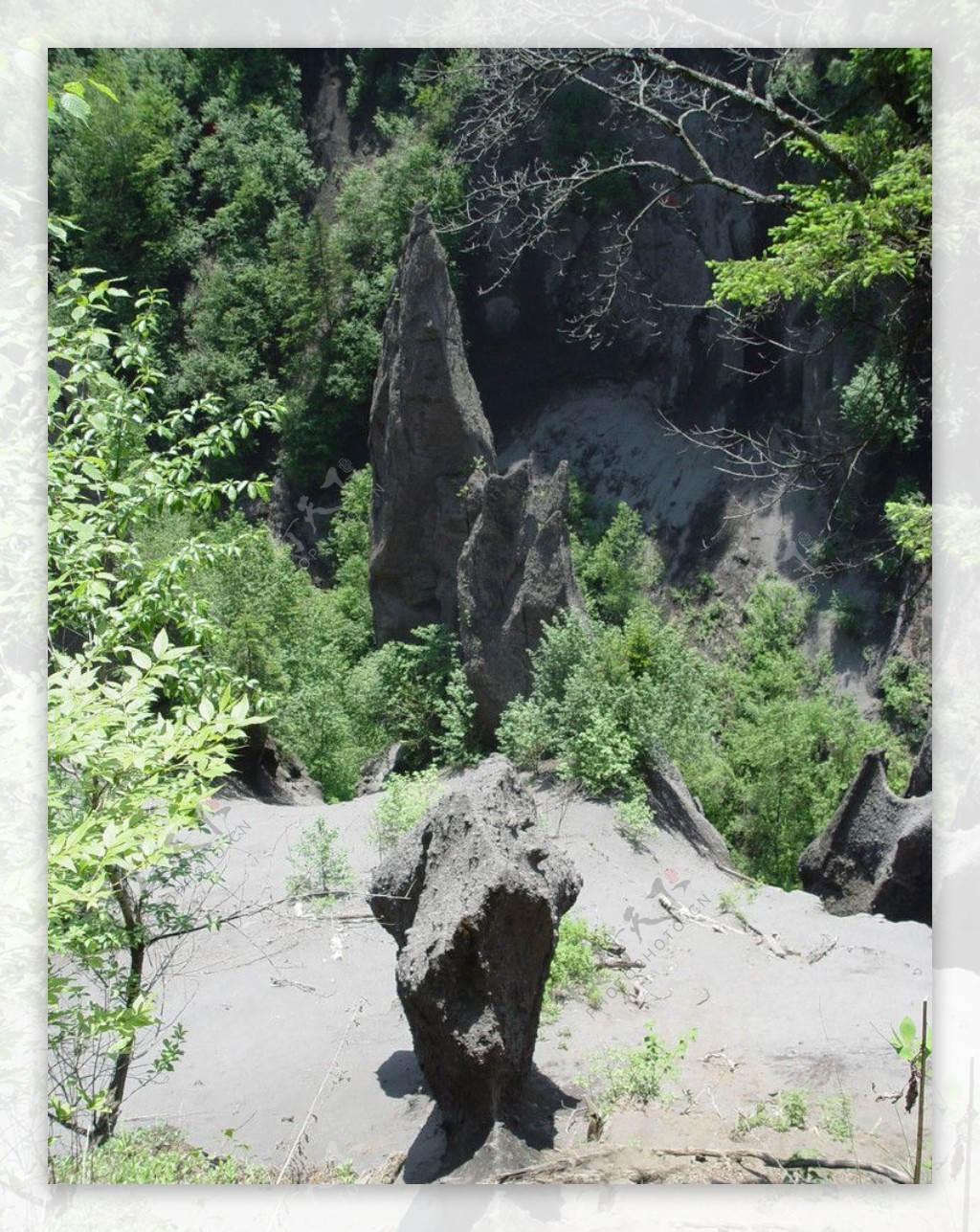 长白山大峡谷溶岩林图片