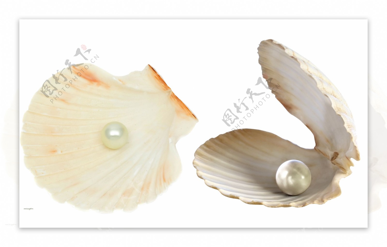 日本的AKOYA海水珍珠选购应该注意哪些问题？ - 知乎