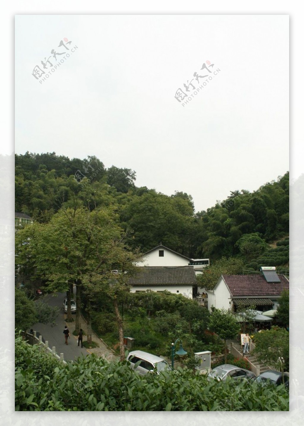 龙井村转角图片