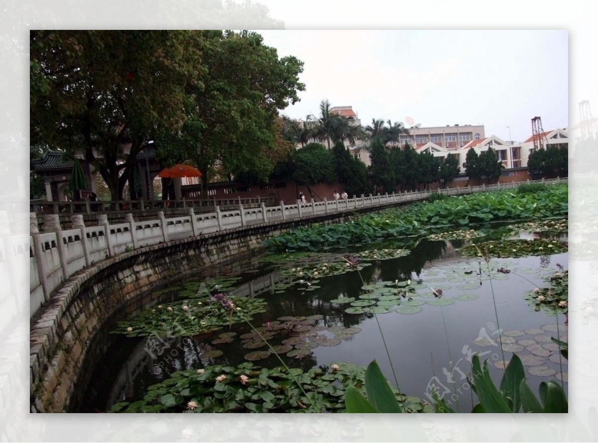 南普陀寺风光图片