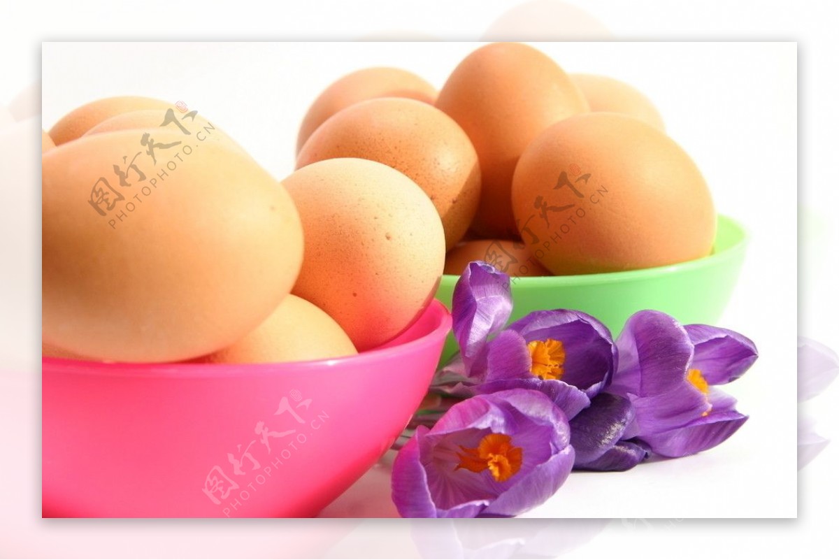 鸡蛋和番红花图片