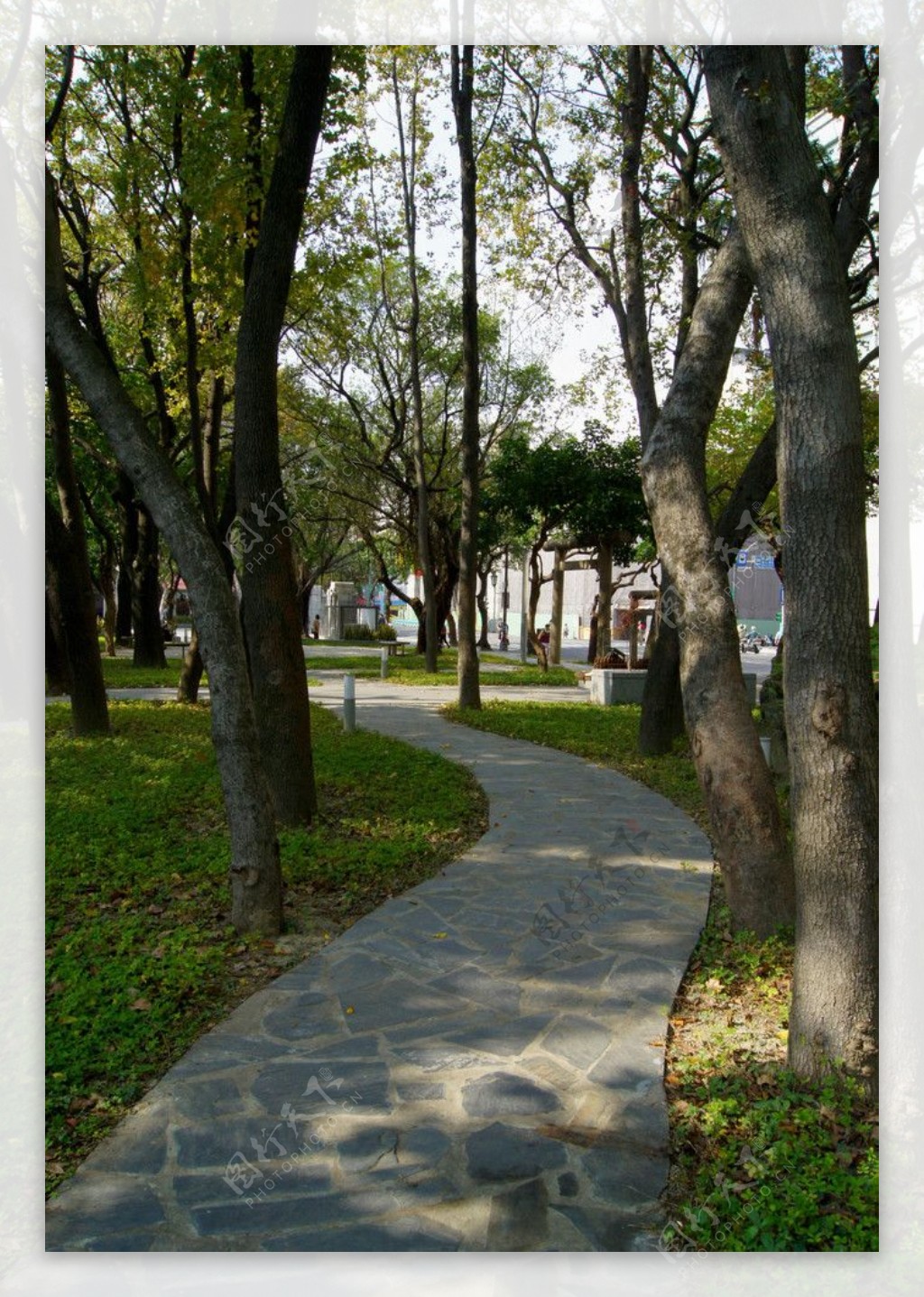 社区公园绿荫小道图片