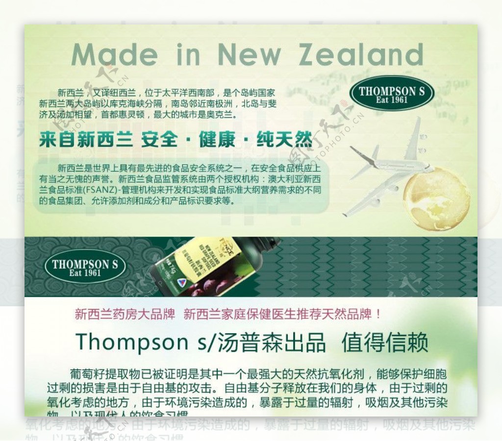 新西兰汤普森葡萄籽图片
