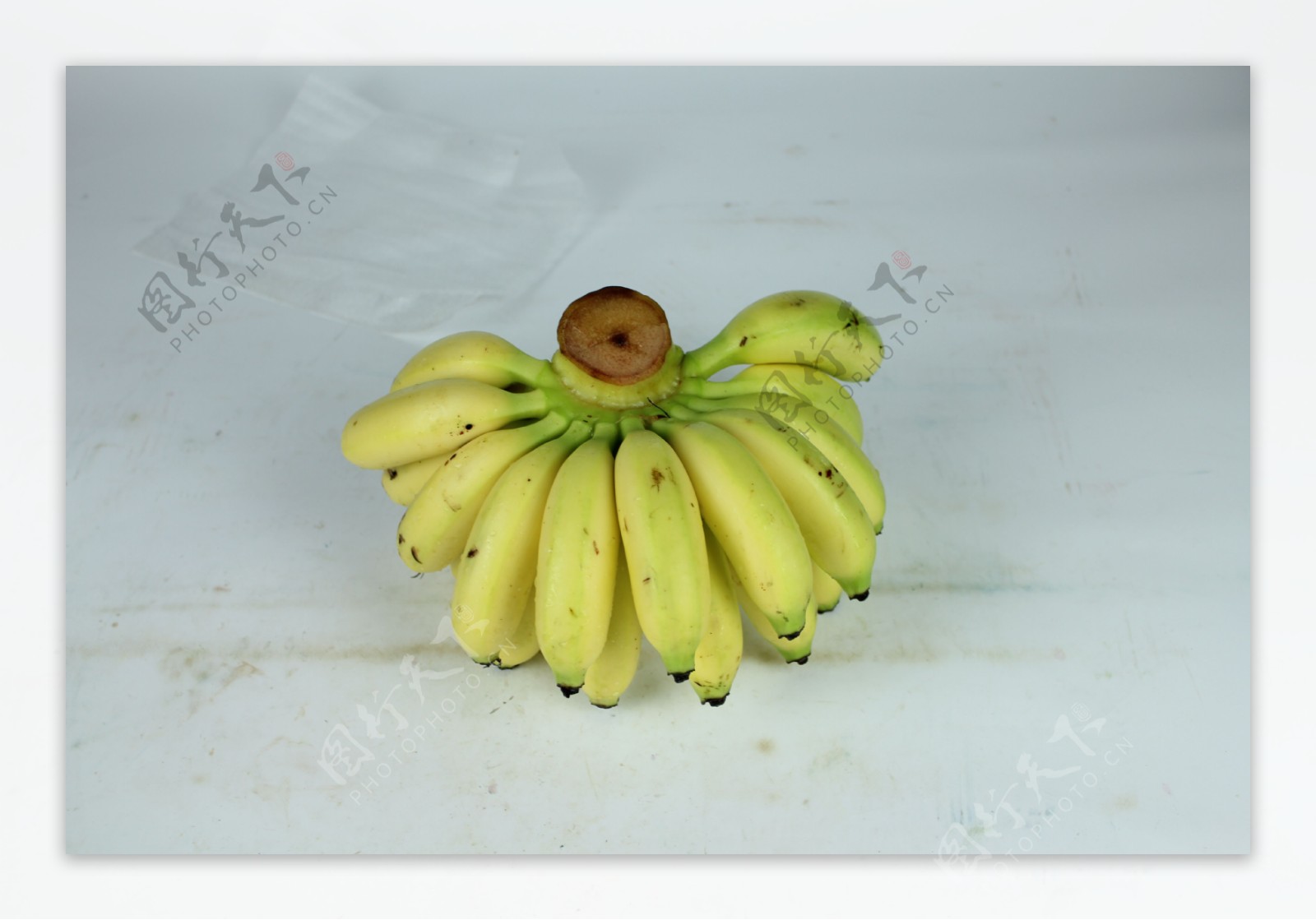 香蕉圖片素材-JPG圖片尺寸5278 × 3518px-高清圖案500498944-zh.lovepik.com